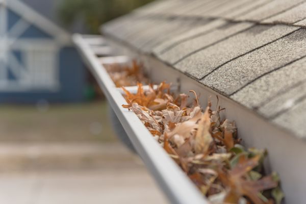 Leaf Barrier Installation in Novi